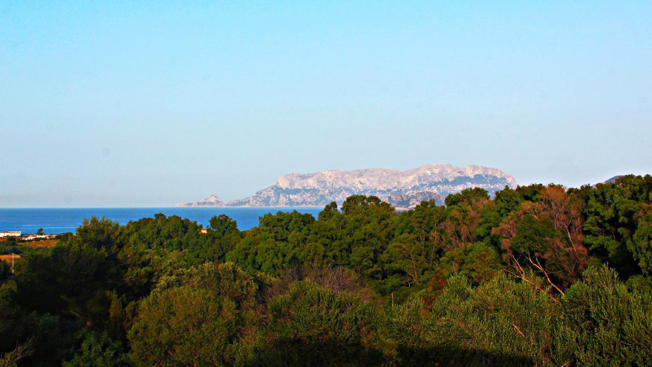 Sole Matto Rooms Olbia Exterior photo